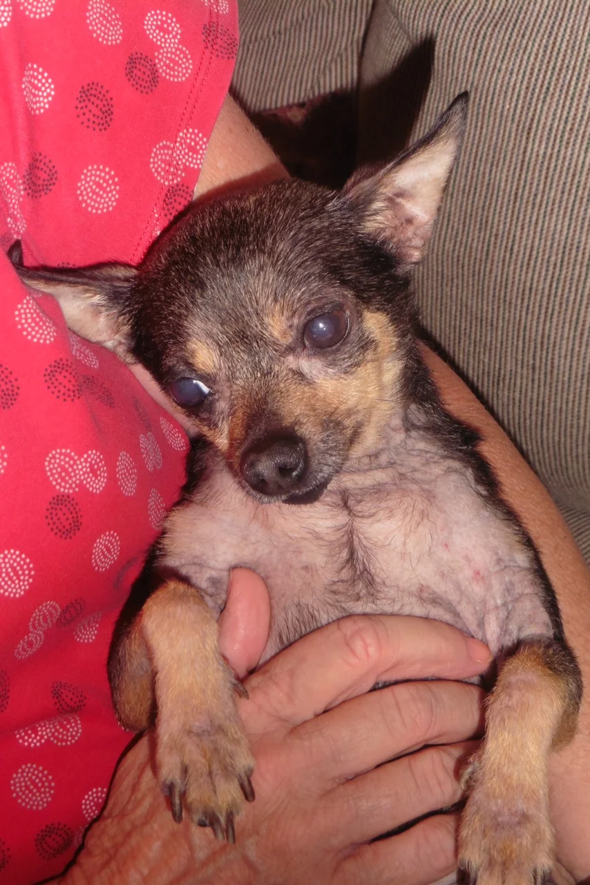 Sammy.jpg