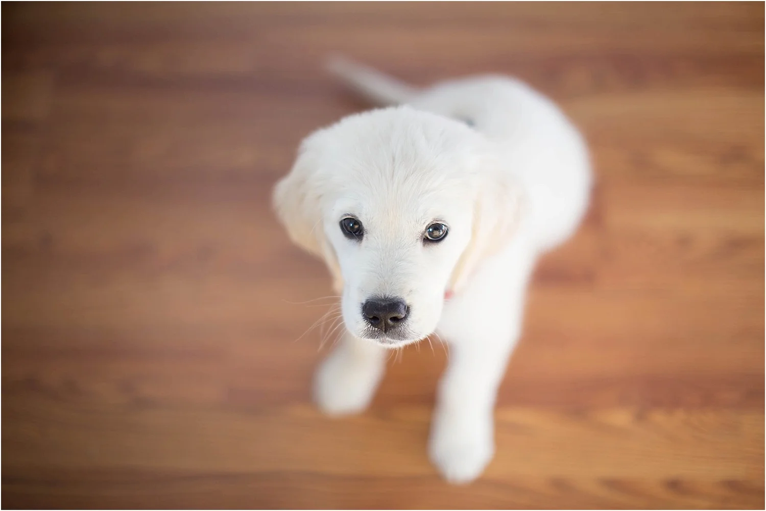 Ellie's First Two Weeks | Ellie Mae Today