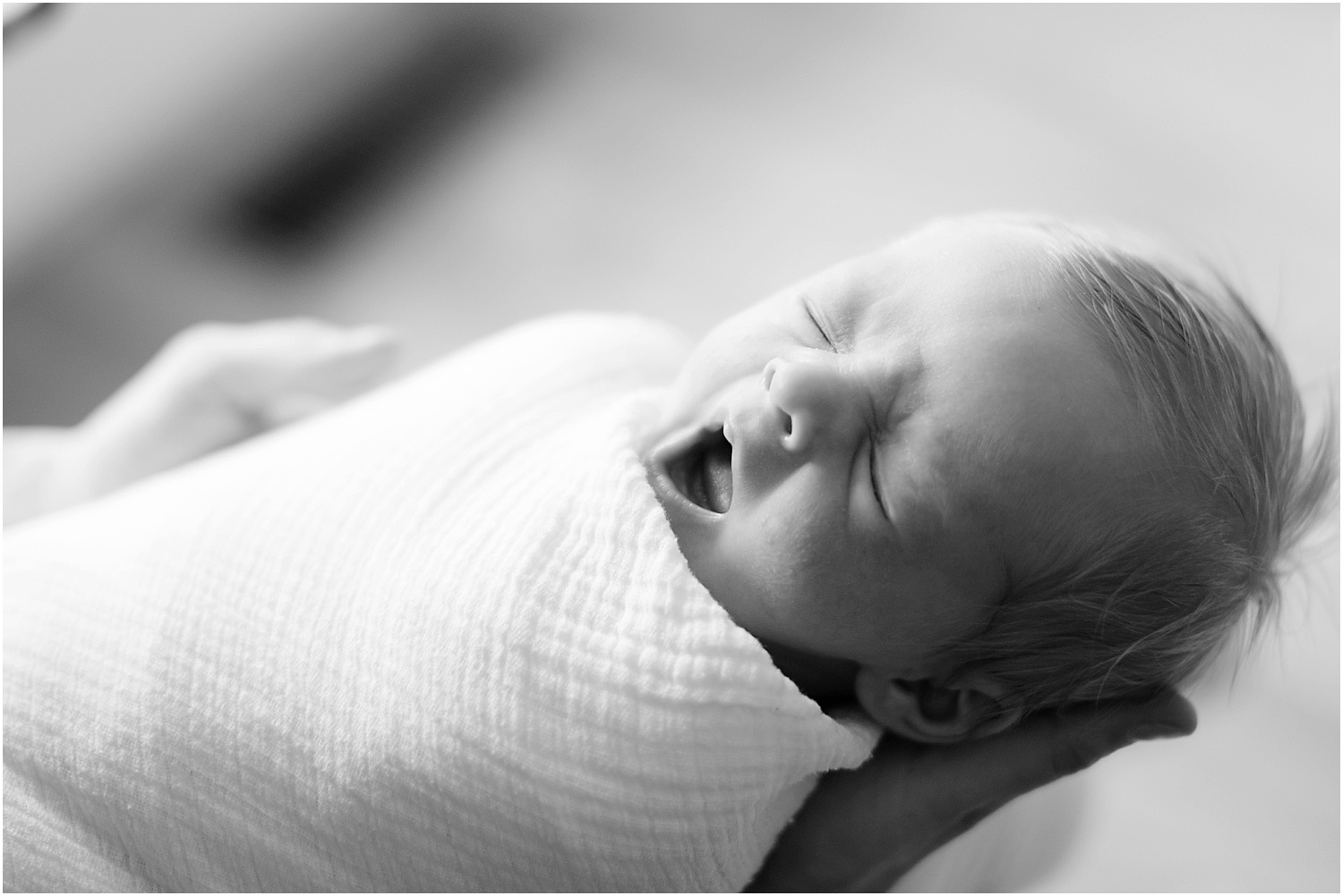 Ashley Powell Photography Newborn Gallery_0030.jpg