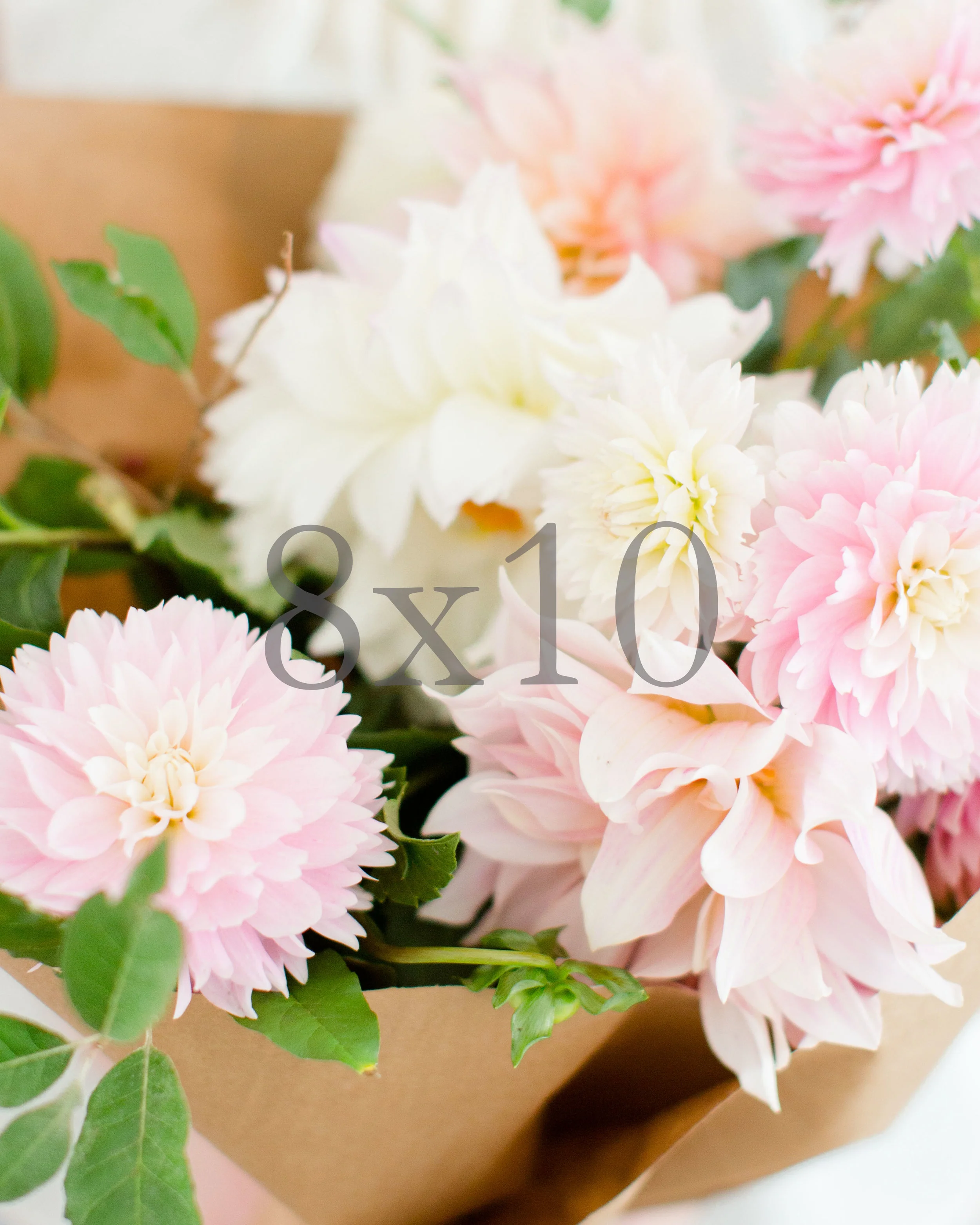 8x10 with watermark.jpg