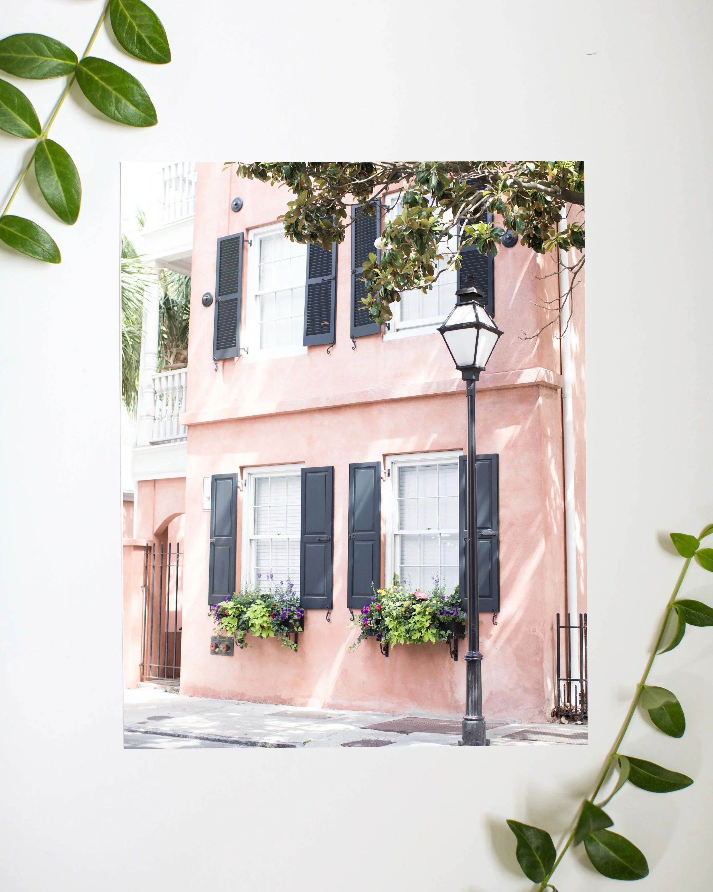 peach house with greenery .jpg