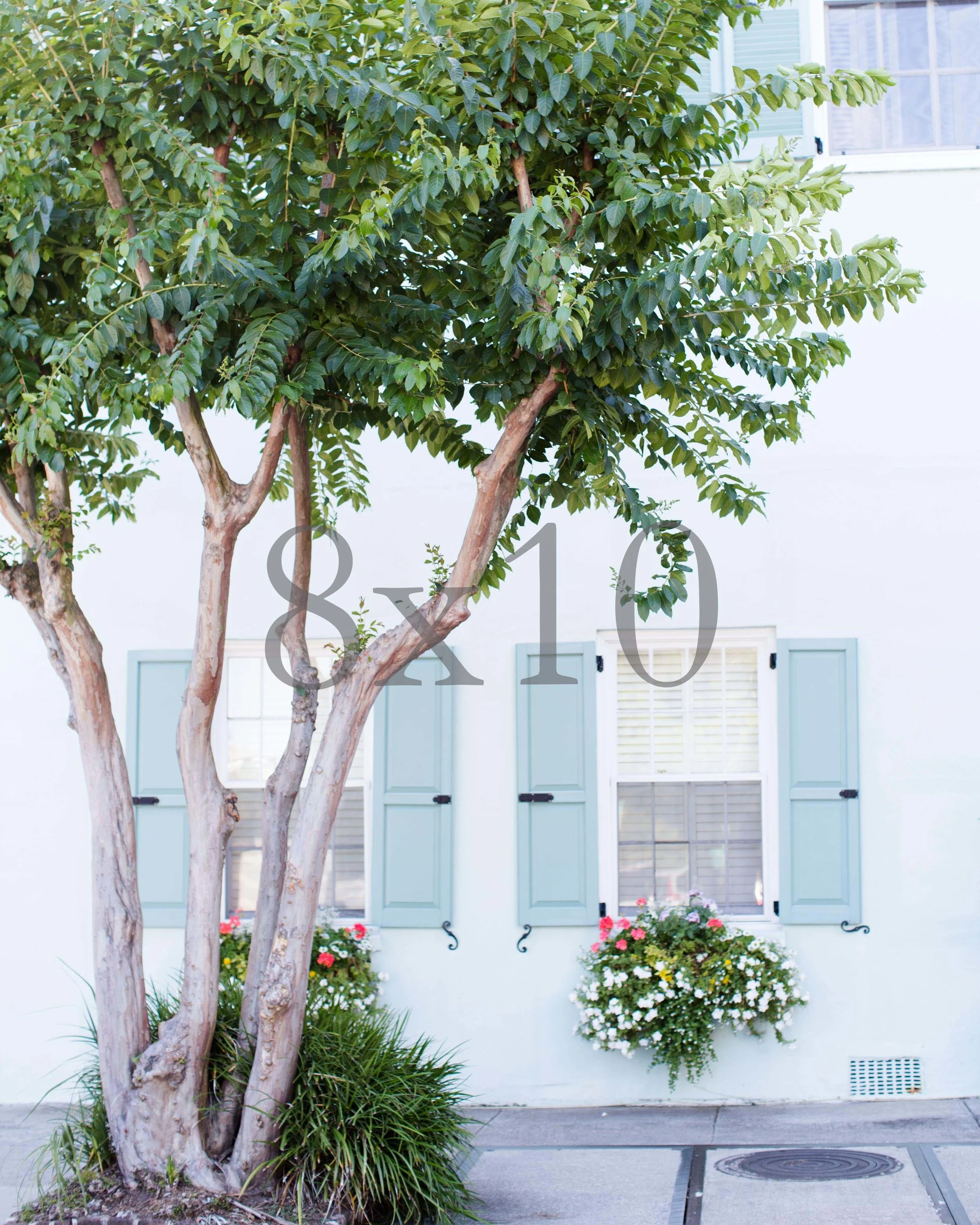 8x10 teal house watermark.jpg
