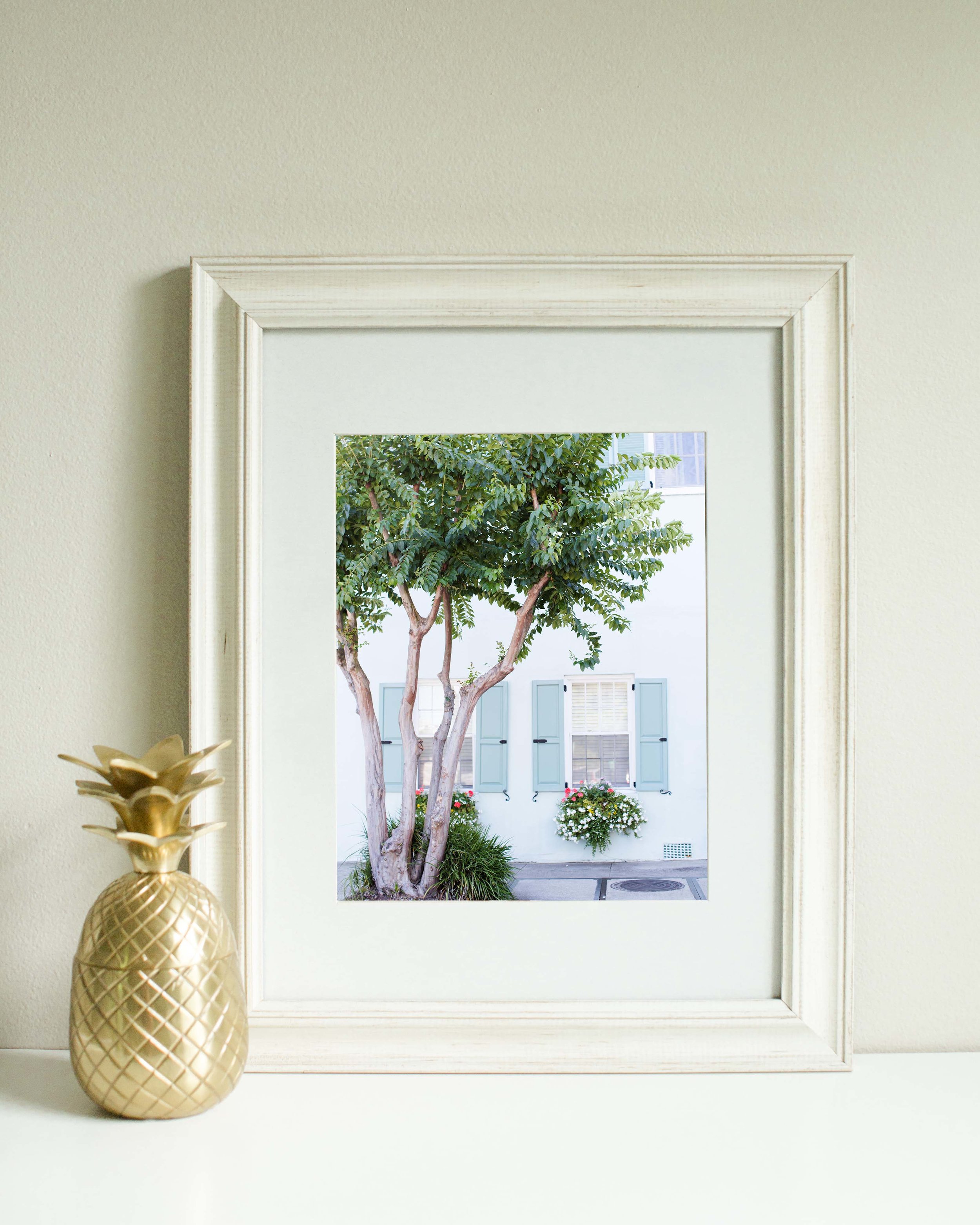 teal house with pineapple.jpg