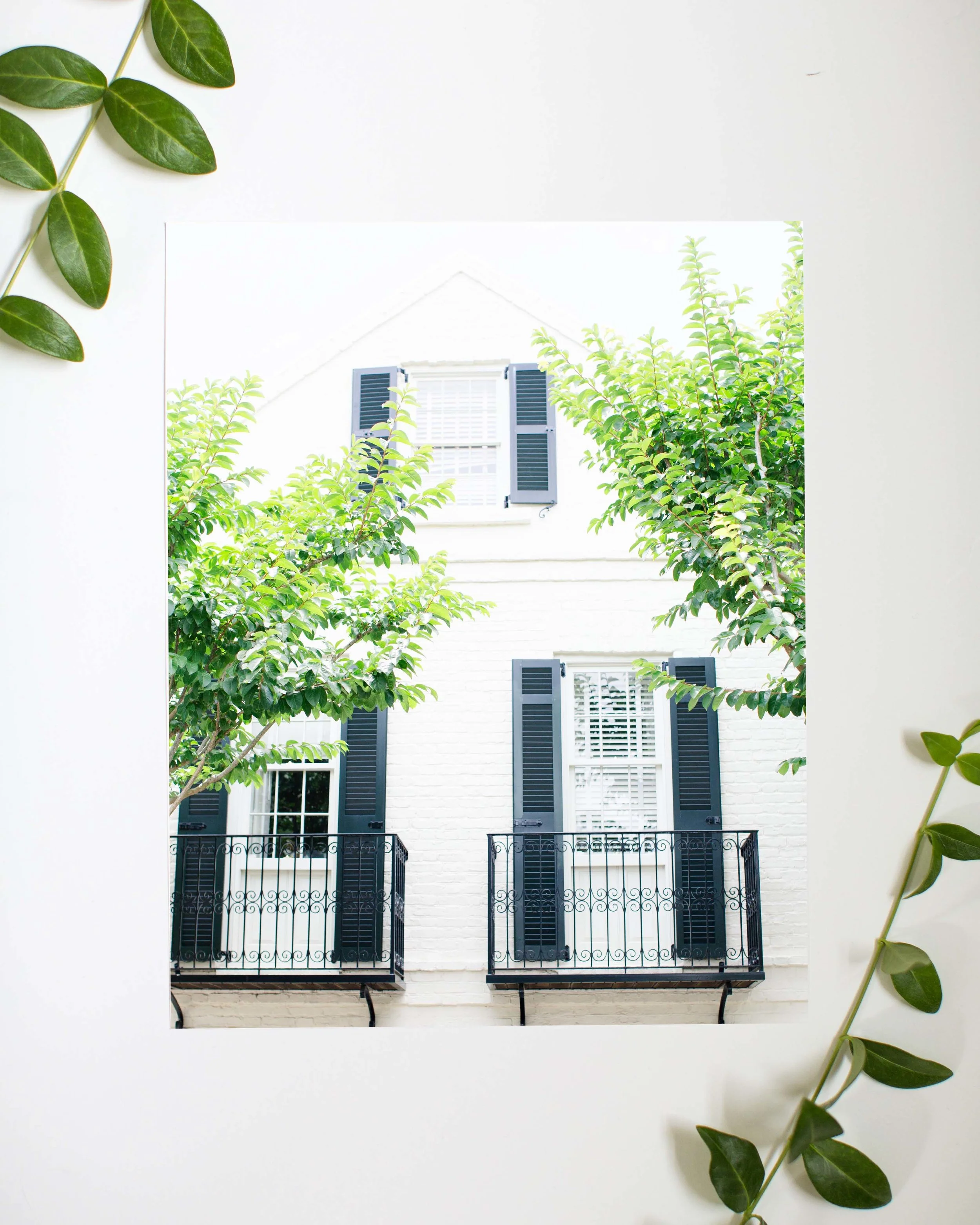 white house with greenery .jpg