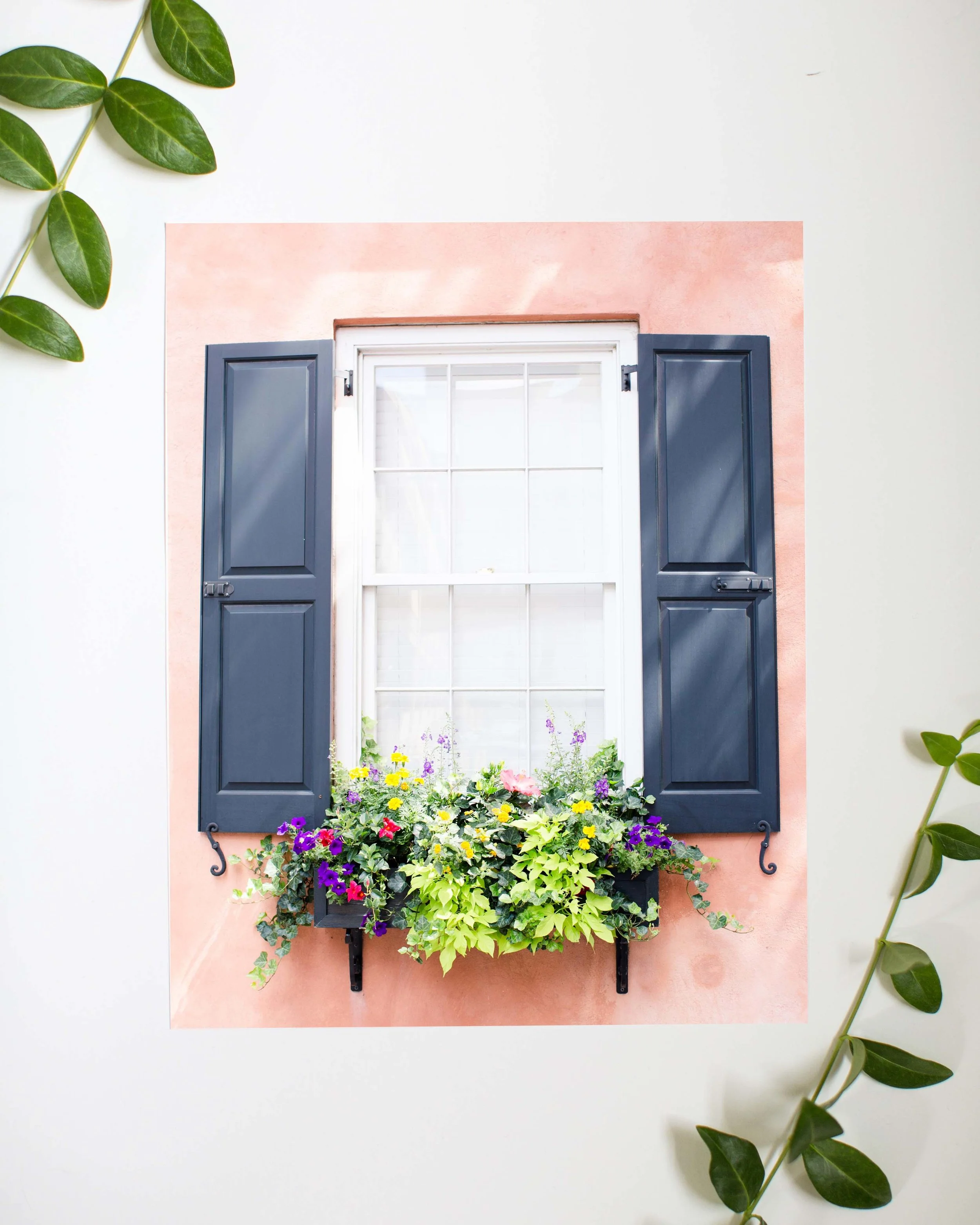 happy window box with greenery.jpg