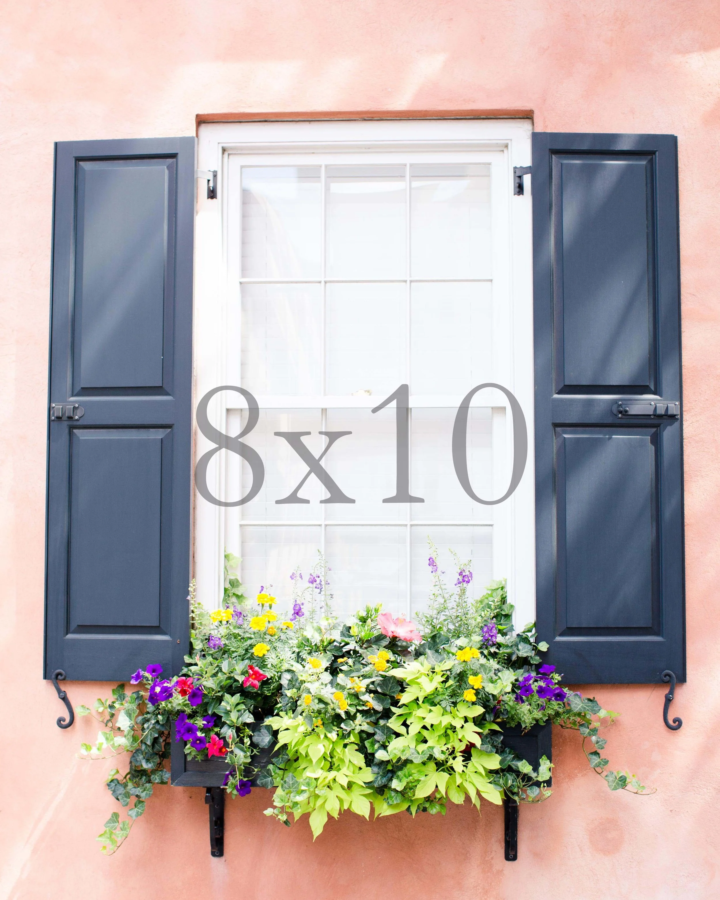 8x10 happy window box with watermark.jpg