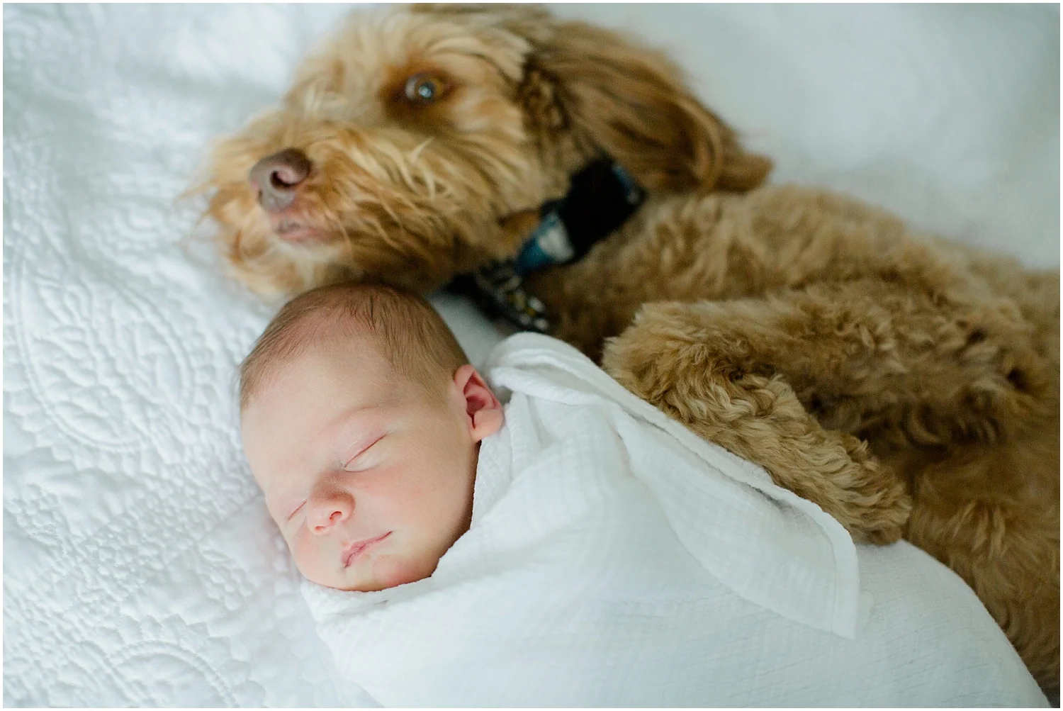 Ashley Powell Photography | Will Newborn Session_0059.jpg