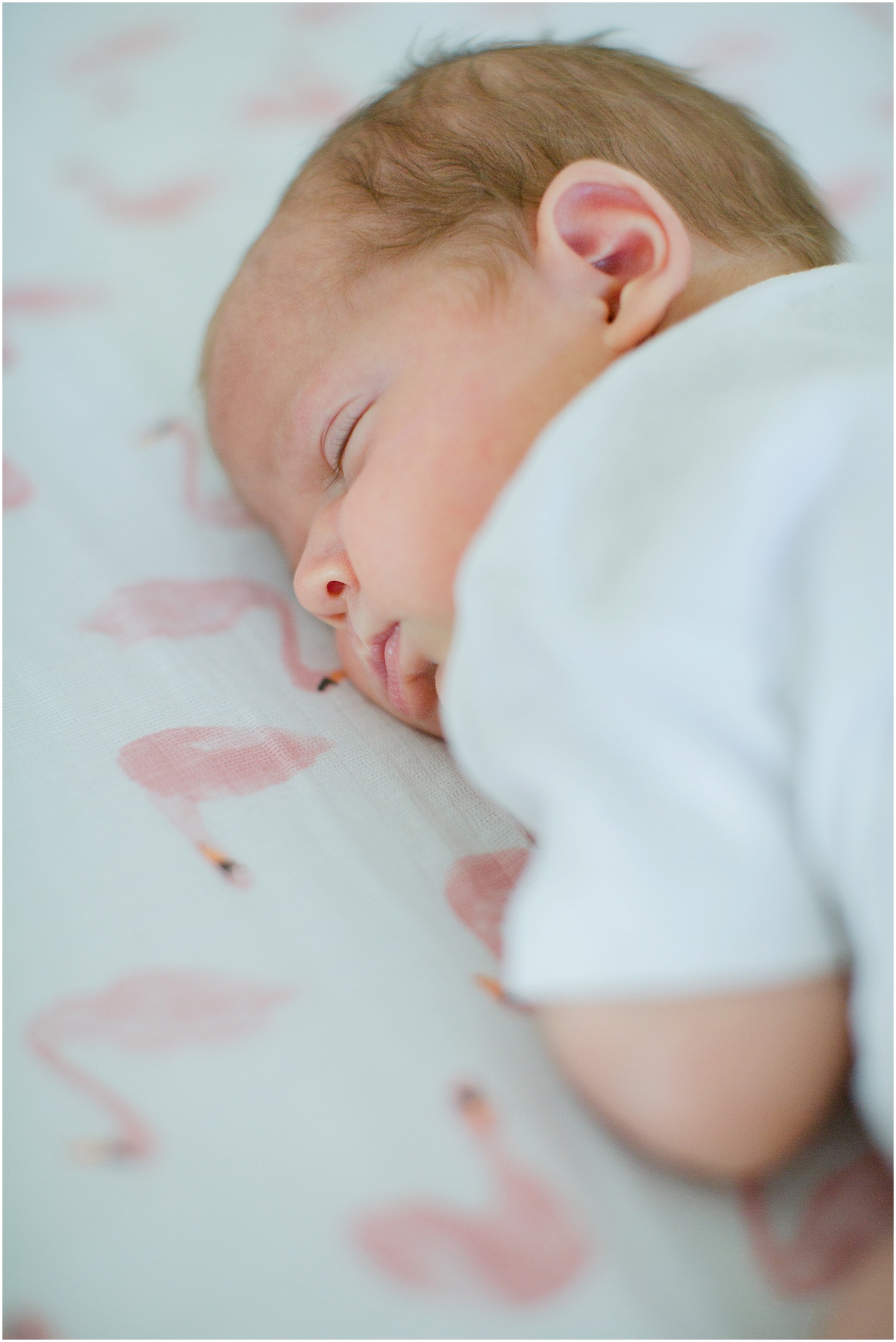 mary spence newborn session_0019.jpg