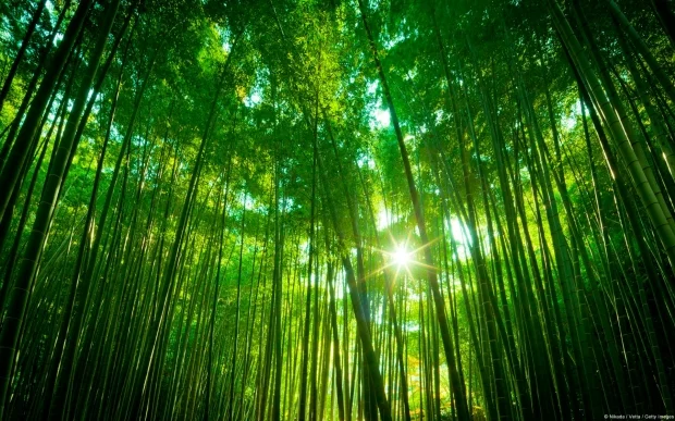 Busted: We love Earth.