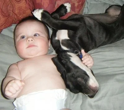 Babies together forever!