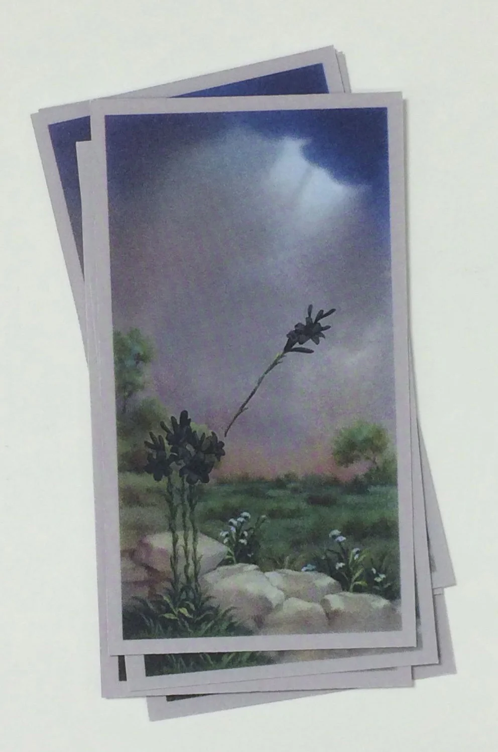 Untitled (prayer card)
