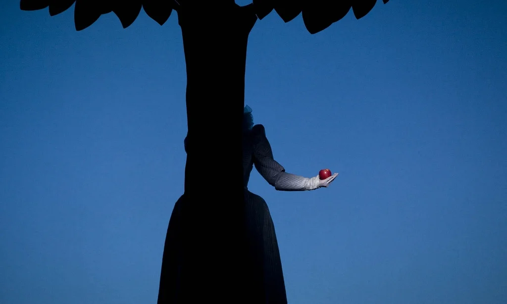 Photograph © Lesley Leslie-Spinks