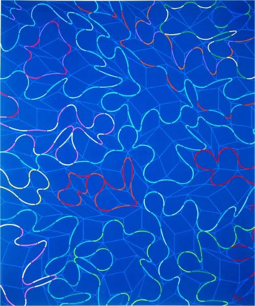 Riemann Curvatures.preview.jpg
