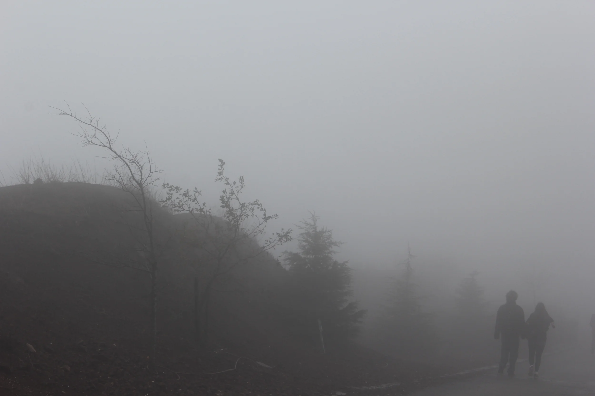 couple into the mist