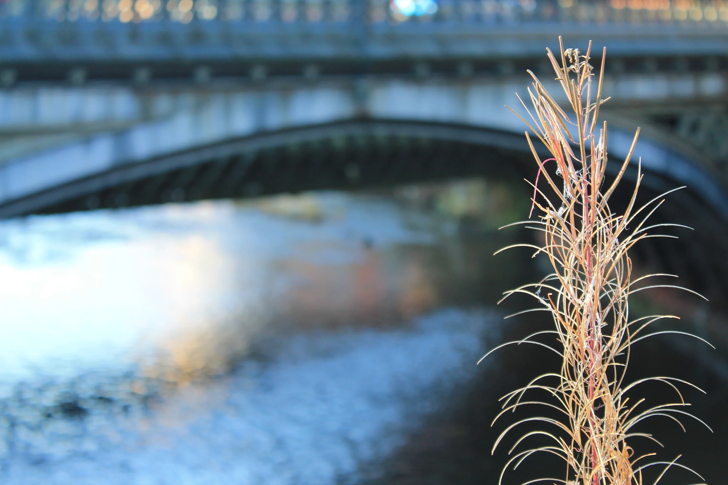  Glasgow, 2012  © Zach Ratner 
