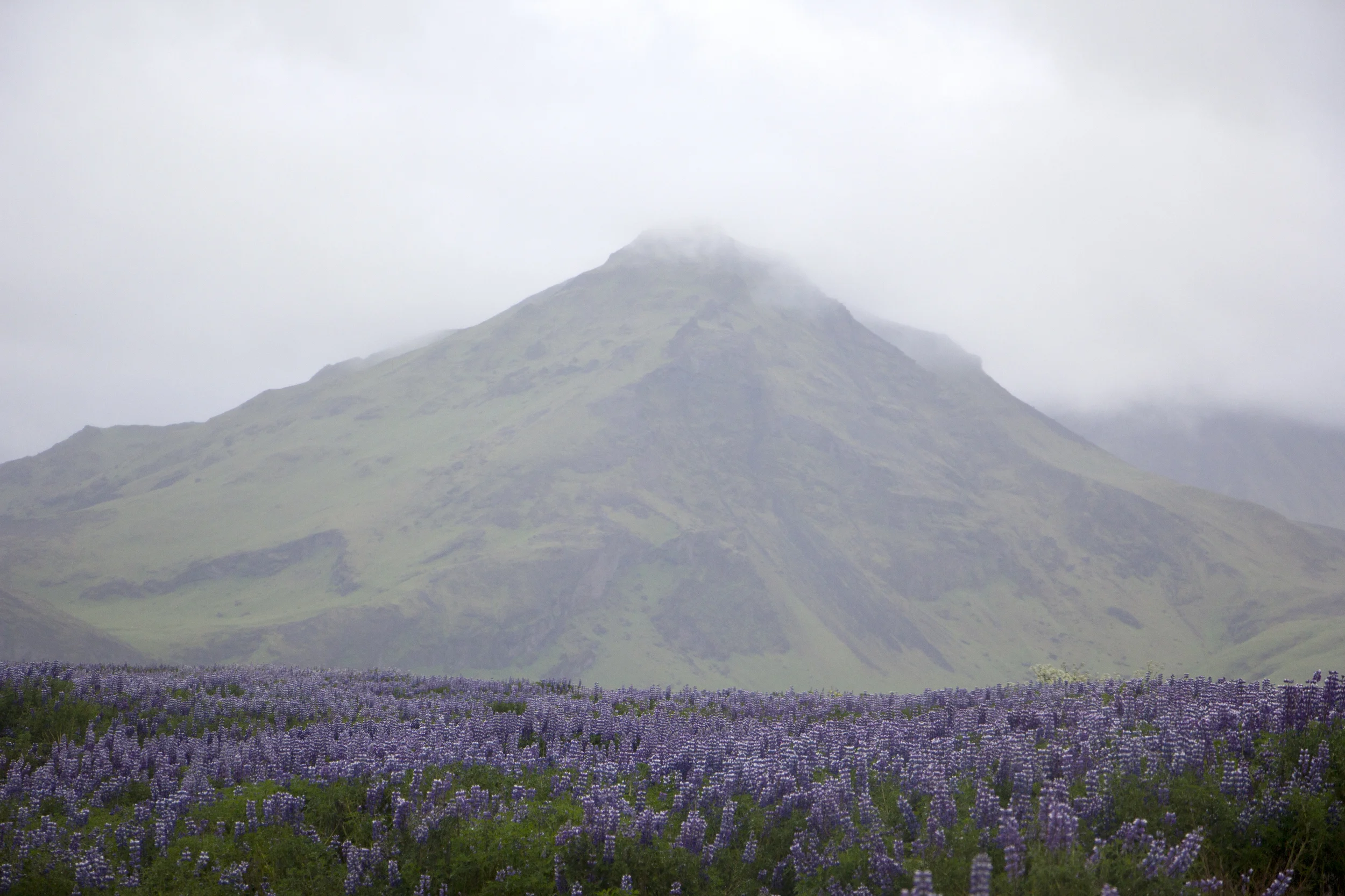 misty mountain