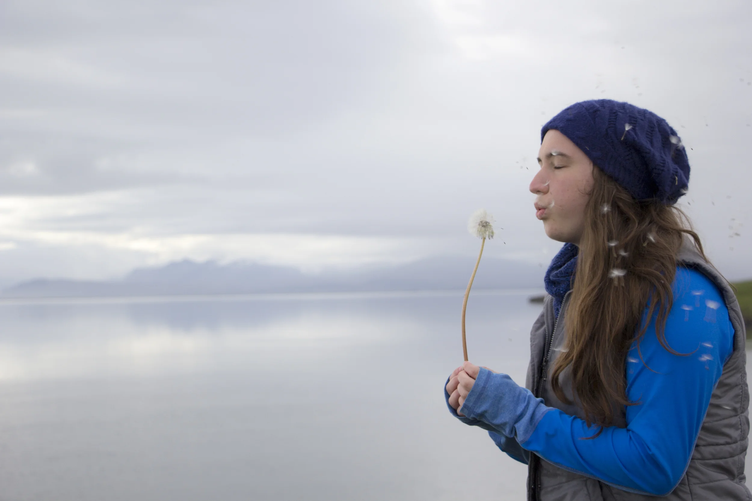  Höfn, 2015  © Zach Ratner 