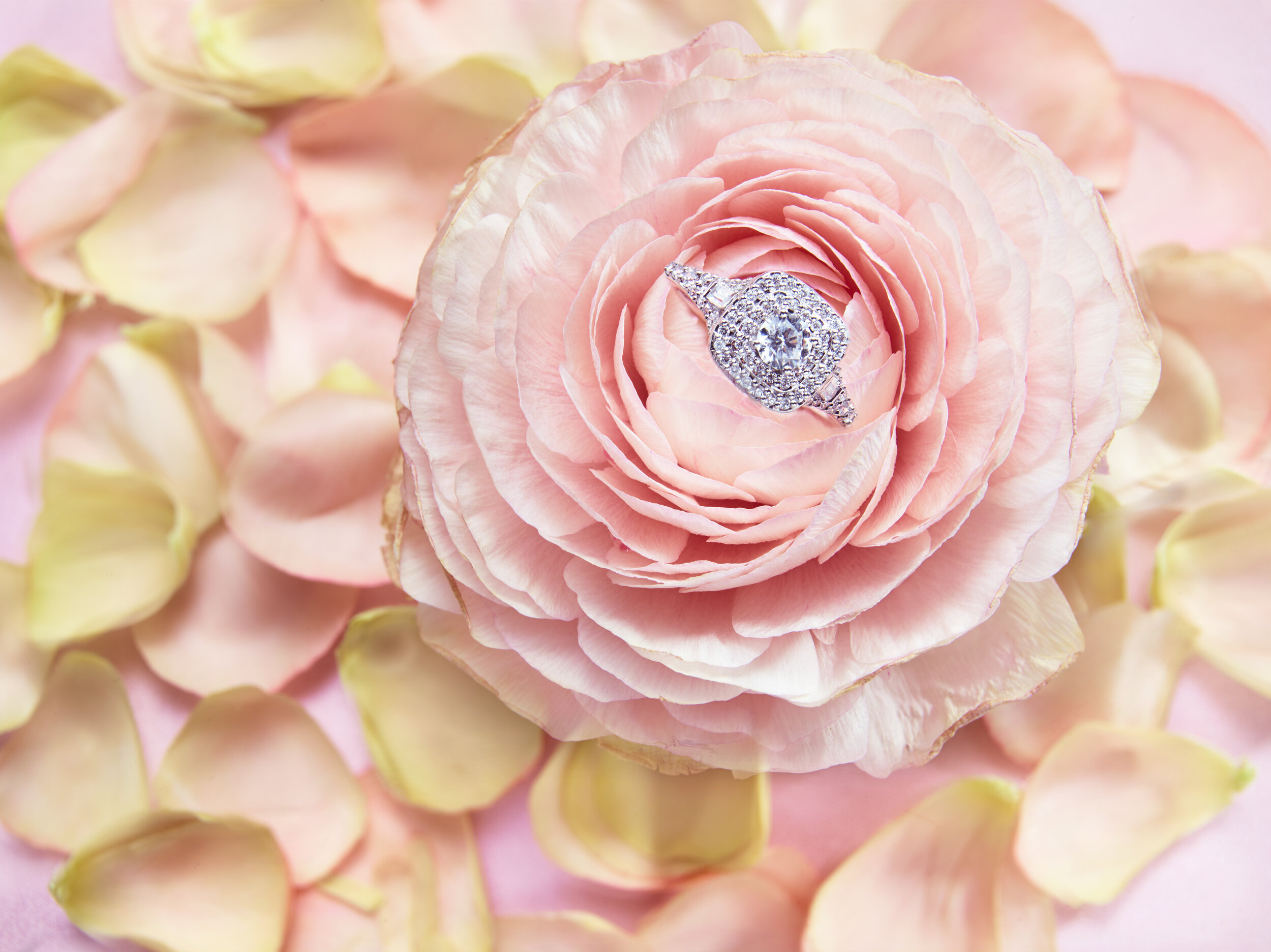 Flowers copy.jpg