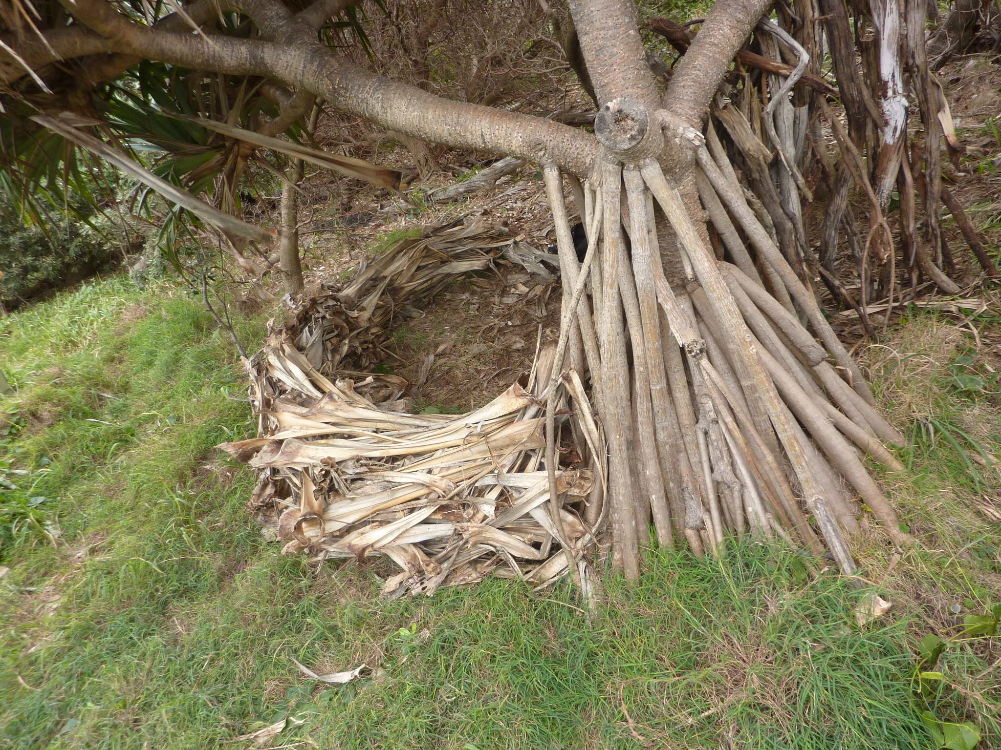 Contemplation Cave