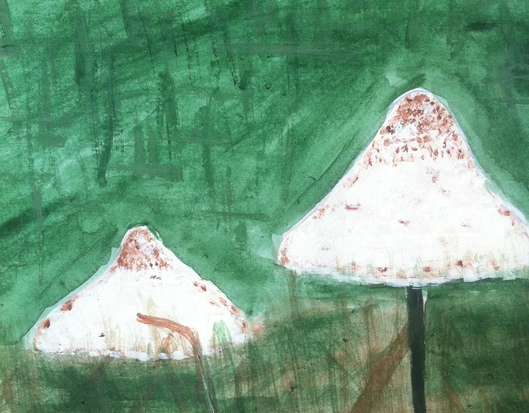 Painted Mushrooms