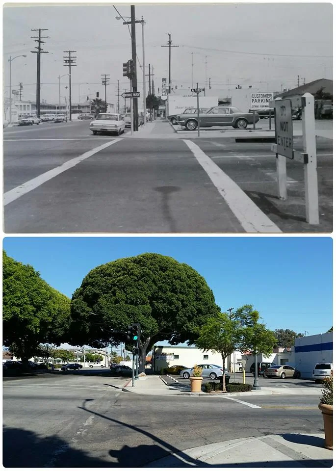 a street.jpg