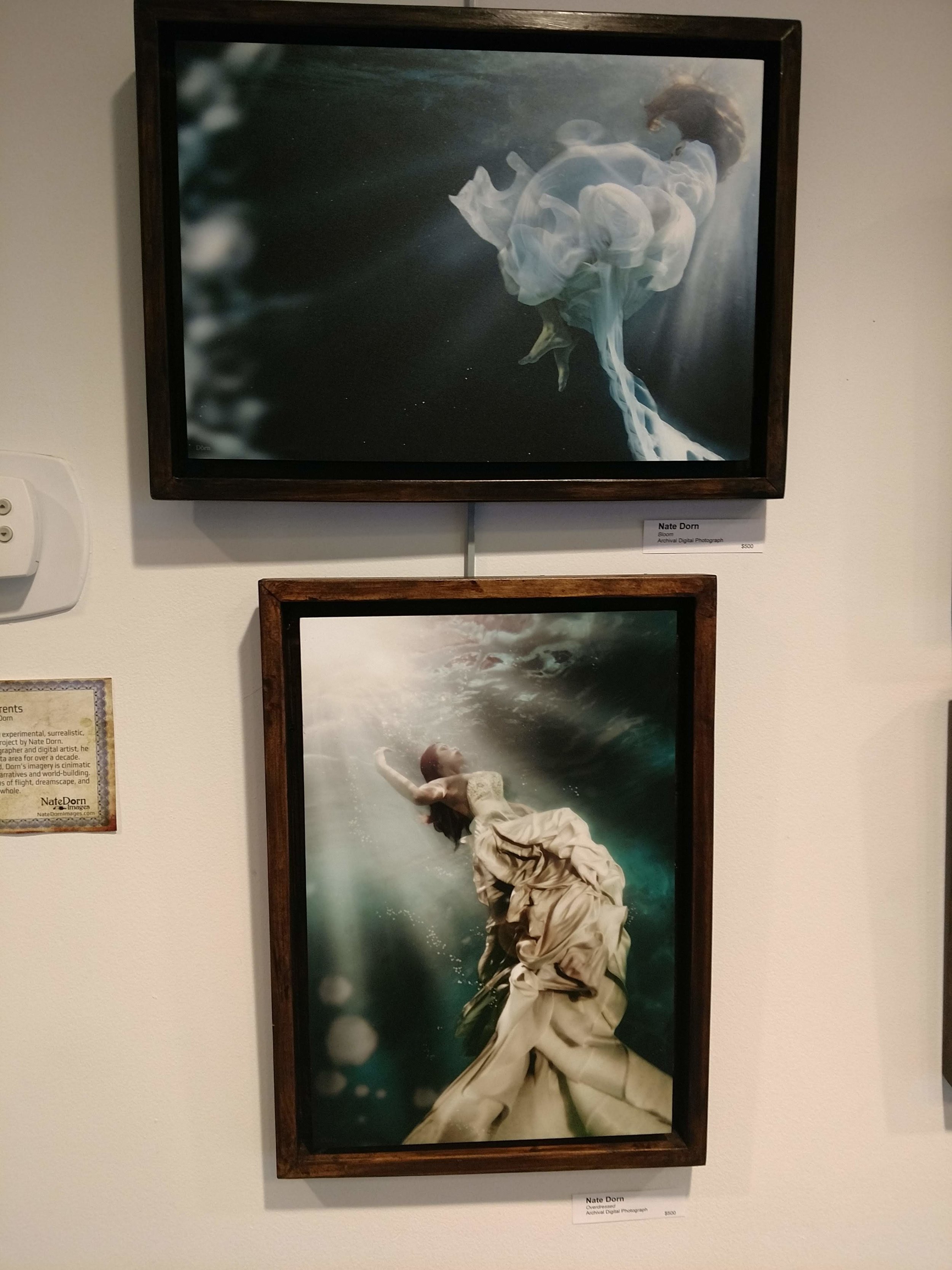 IMG_20190207_180247848.jpg