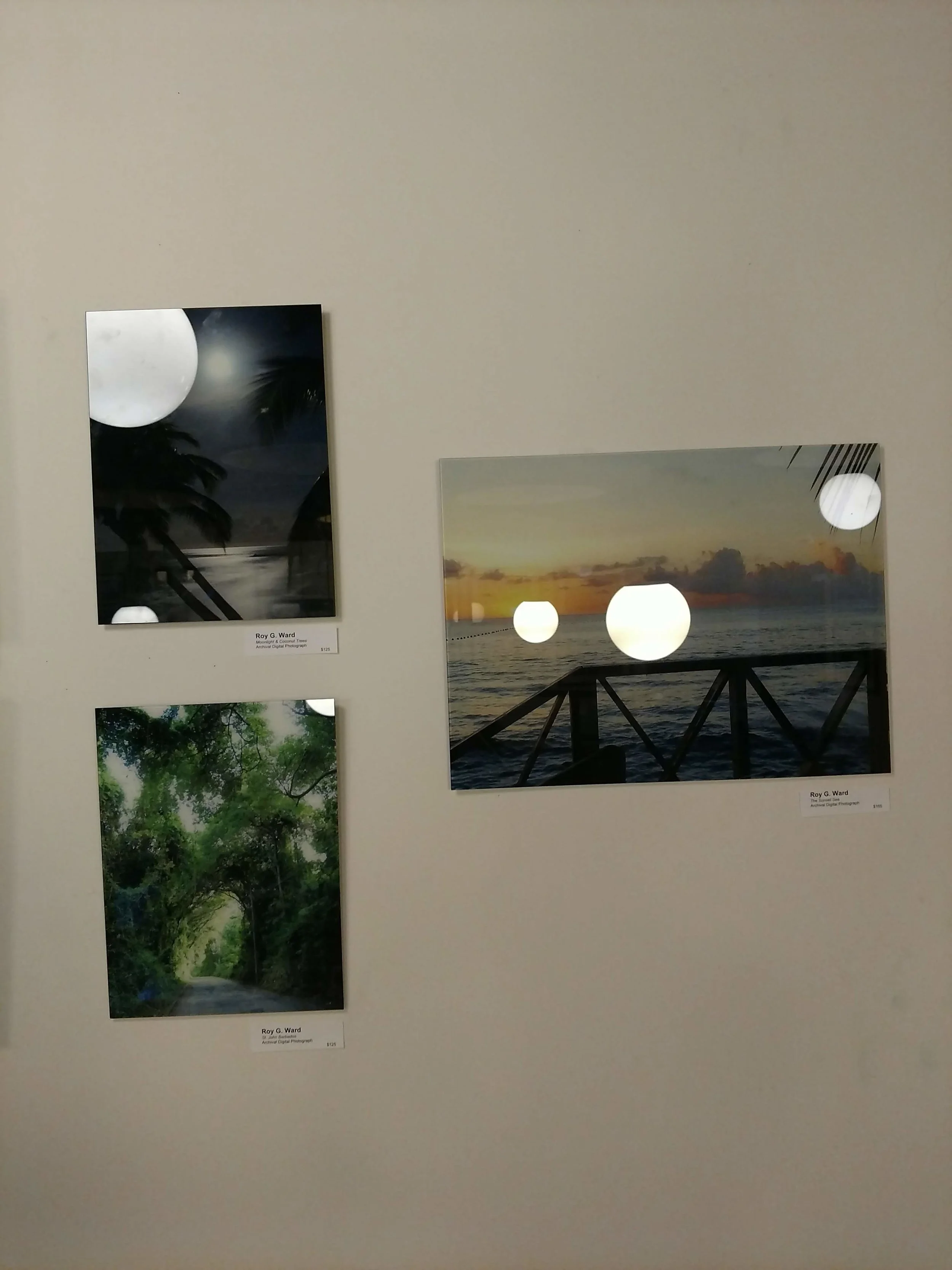 IMG_20190207_180442179.jpg