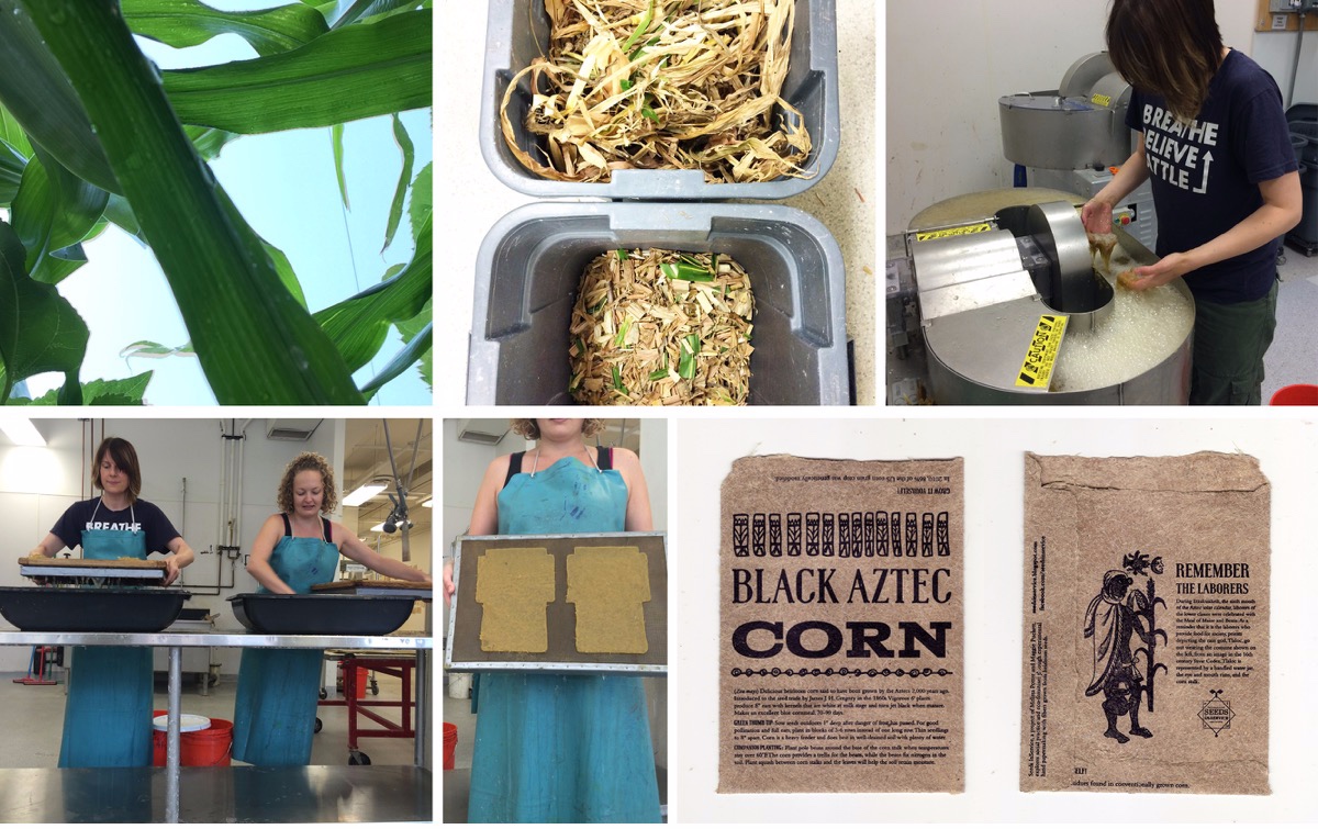 Process from seed to sheet