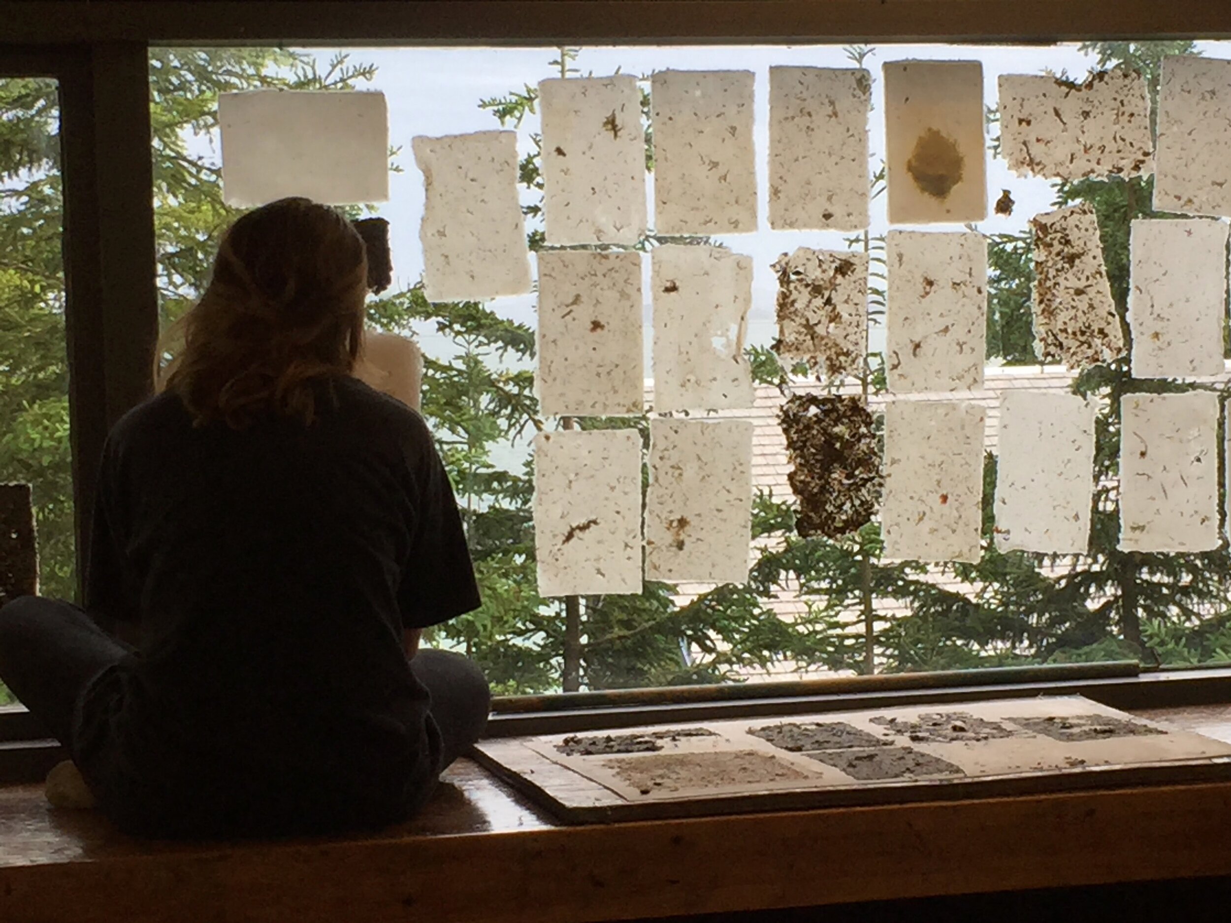 Using the Haystack studio windows to dry paper 