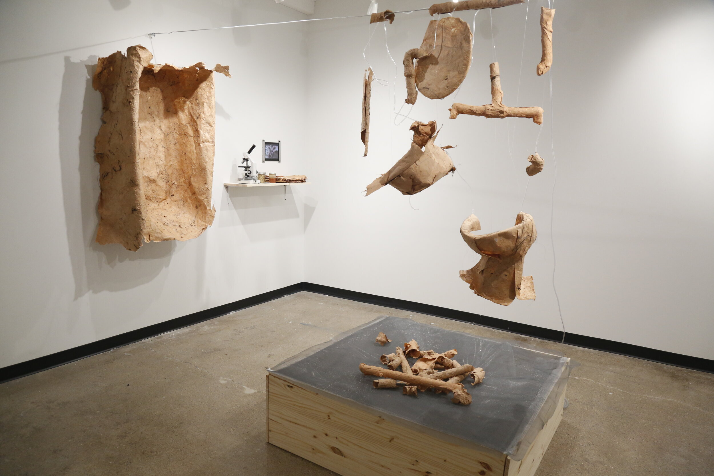   MFA in Book &amp; Paper alumna, Selena Ingram’s thesis work, The Fragile Morphologies of Pulp Bodies, made in handmade paper cast in her apartment bathroom.  