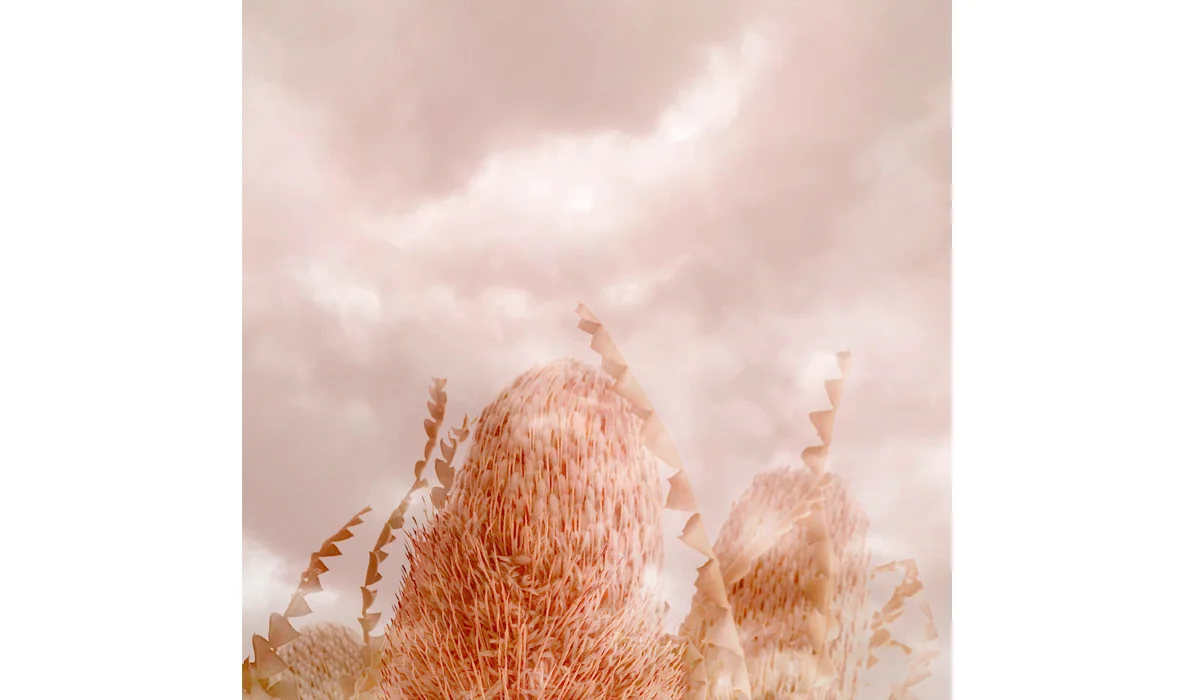 18_PinkSky-1200px700px.jpg