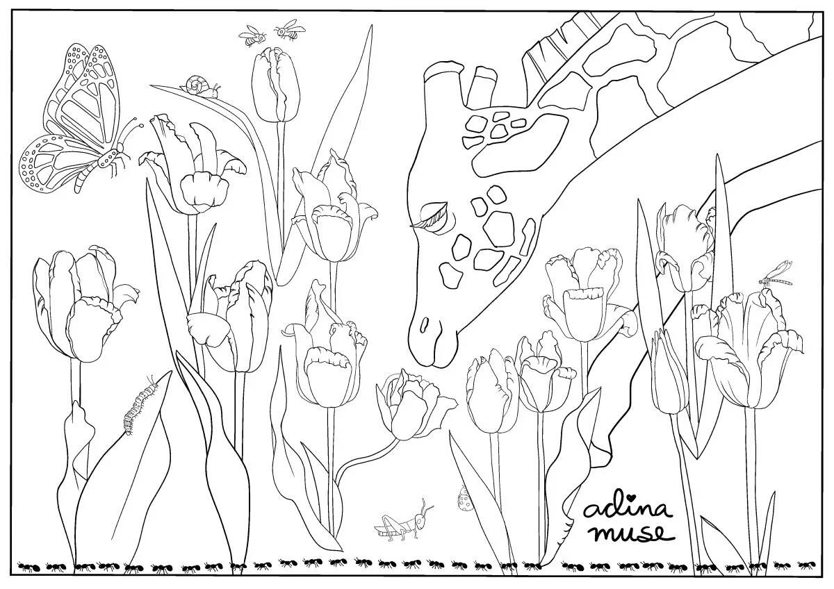 20_COLORINGPAGE-06-1200.jpg