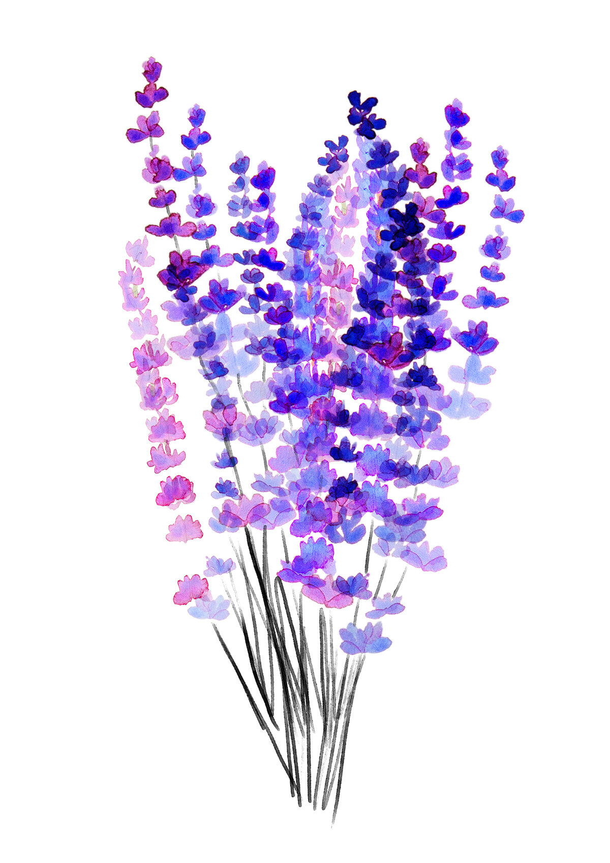 17_SHISEIDO_lavender.jpg