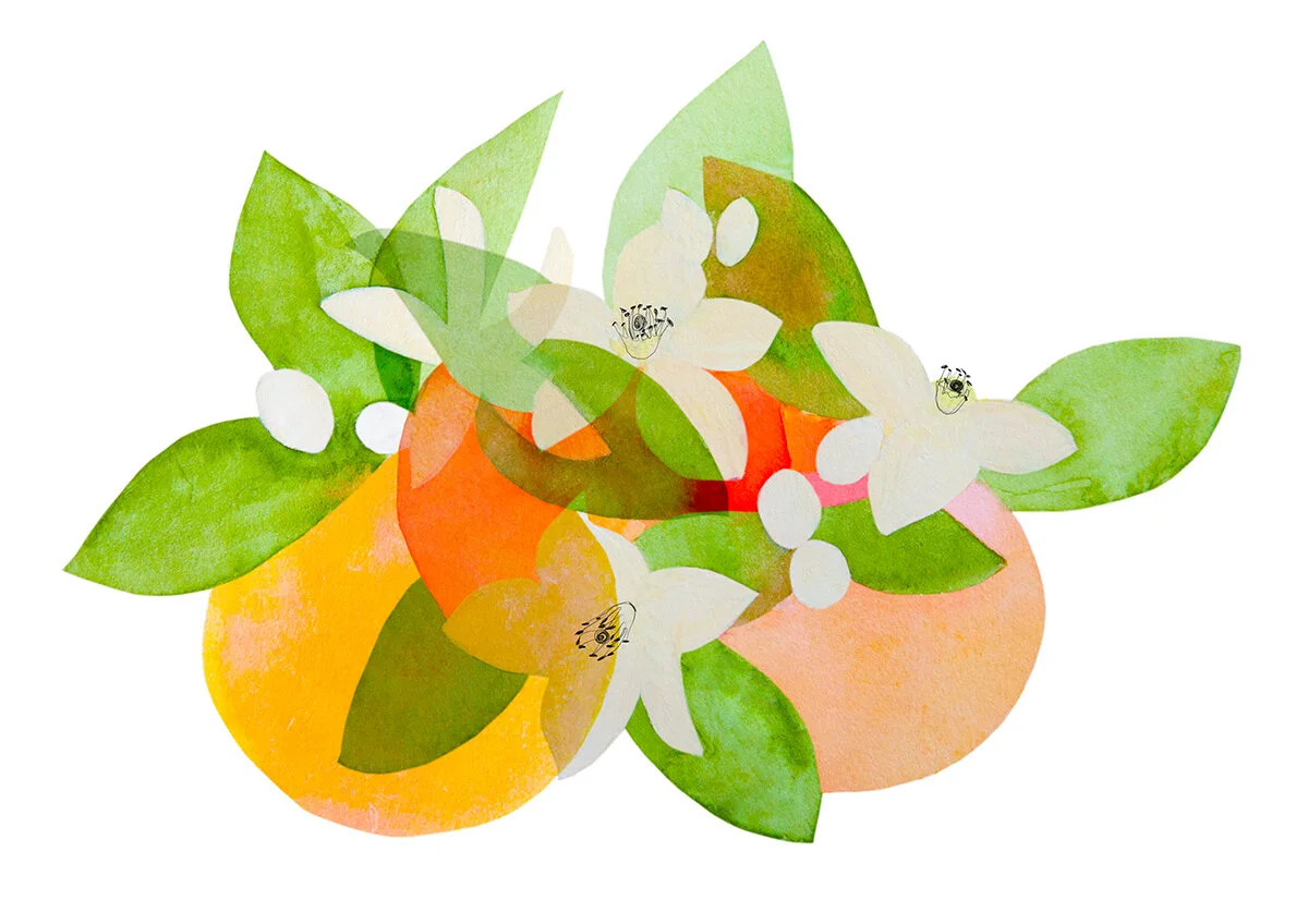17_SHISEIDO_orange blossom-02.jpg