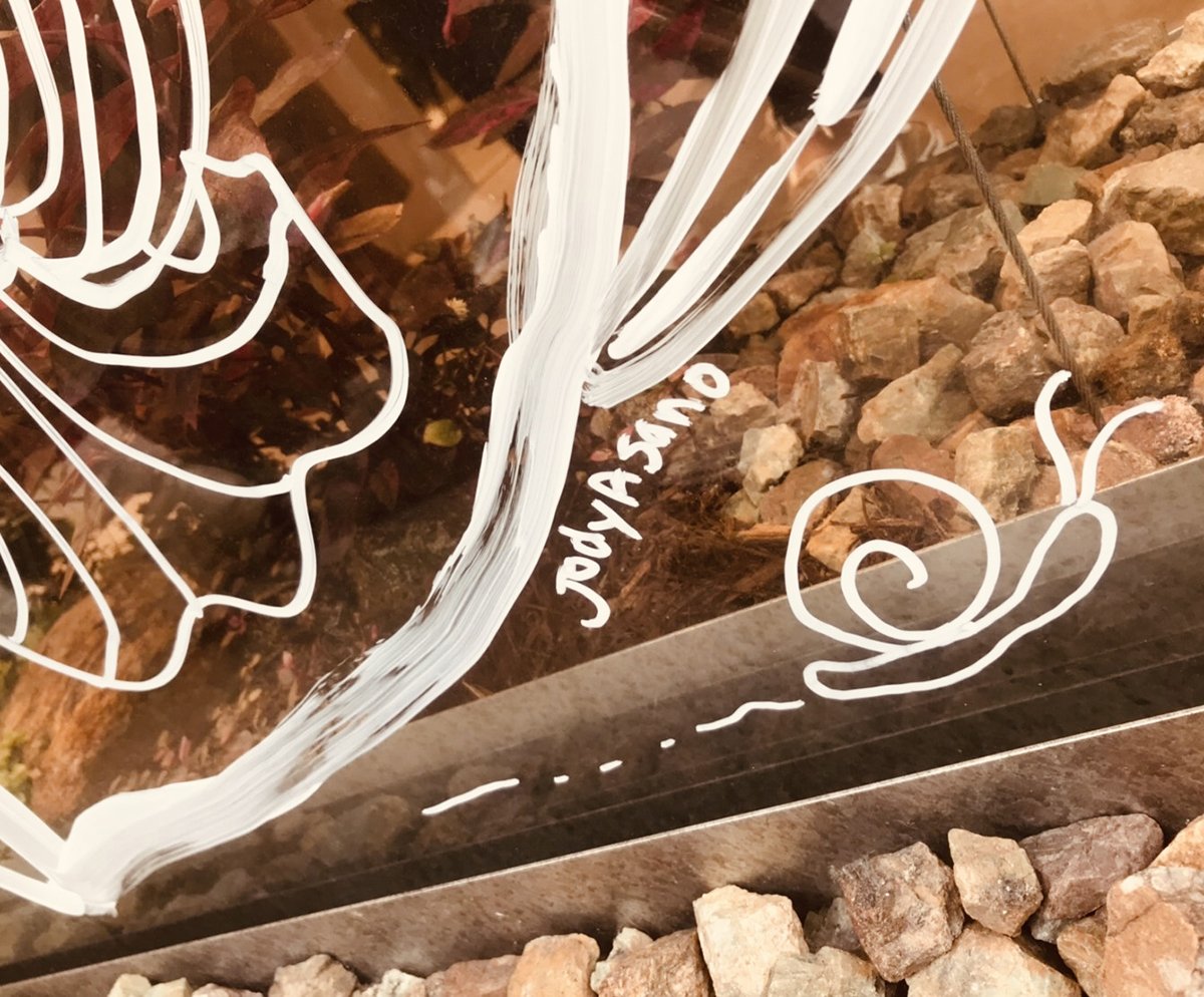 27525360.6642c9034fef8a0a304e8709bccb508e.19102015 2.jpg