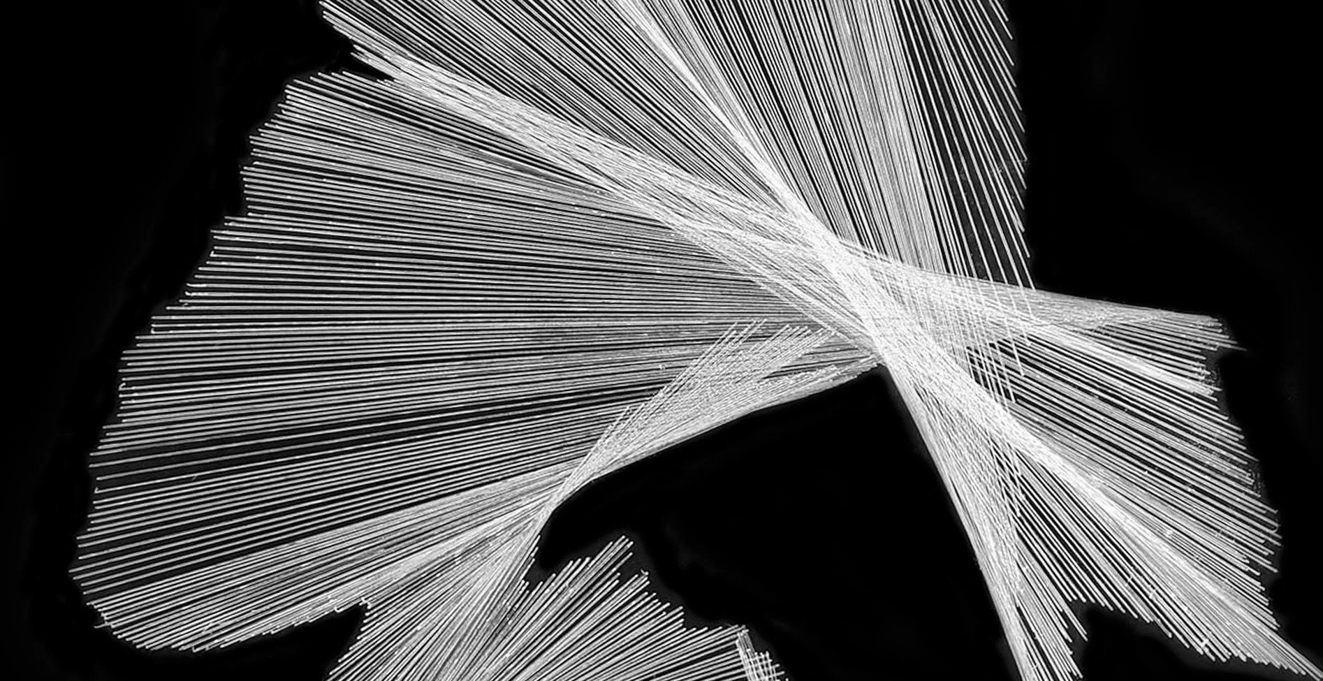 BlackandWhite_3 - Copy (2).jpg