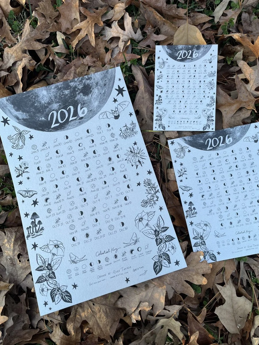 Moon Garden Boarder- 2026 Celestial Calendar