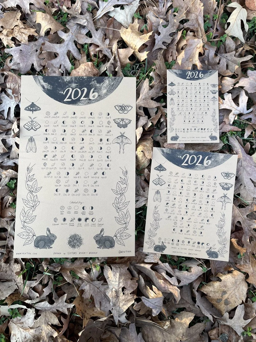 Woodland Boarder- 2026 Celestial Calendar