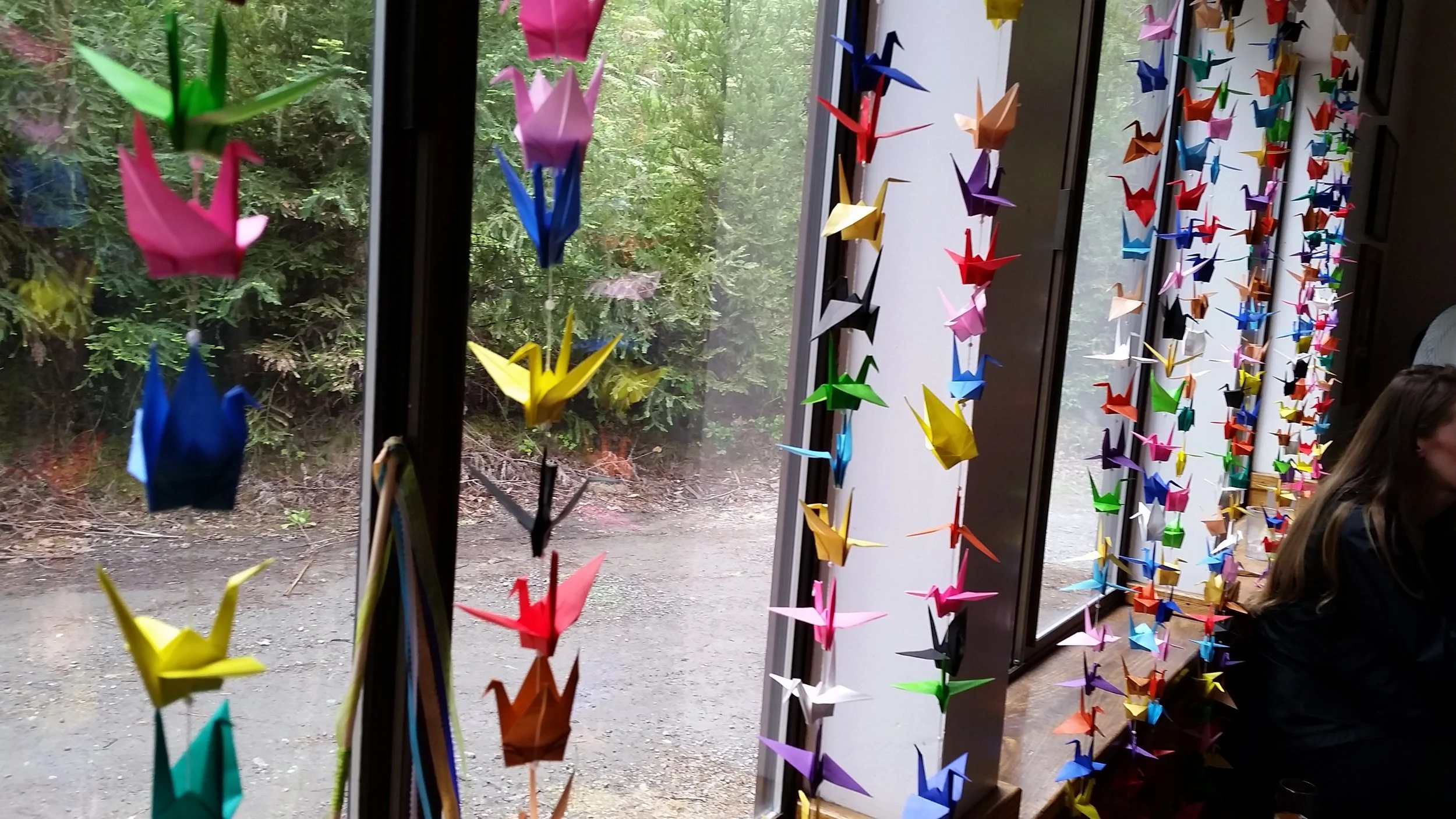 20160507_171037.jpg