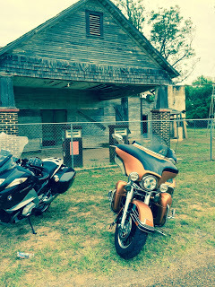 Harley+at+Delmita.JPG