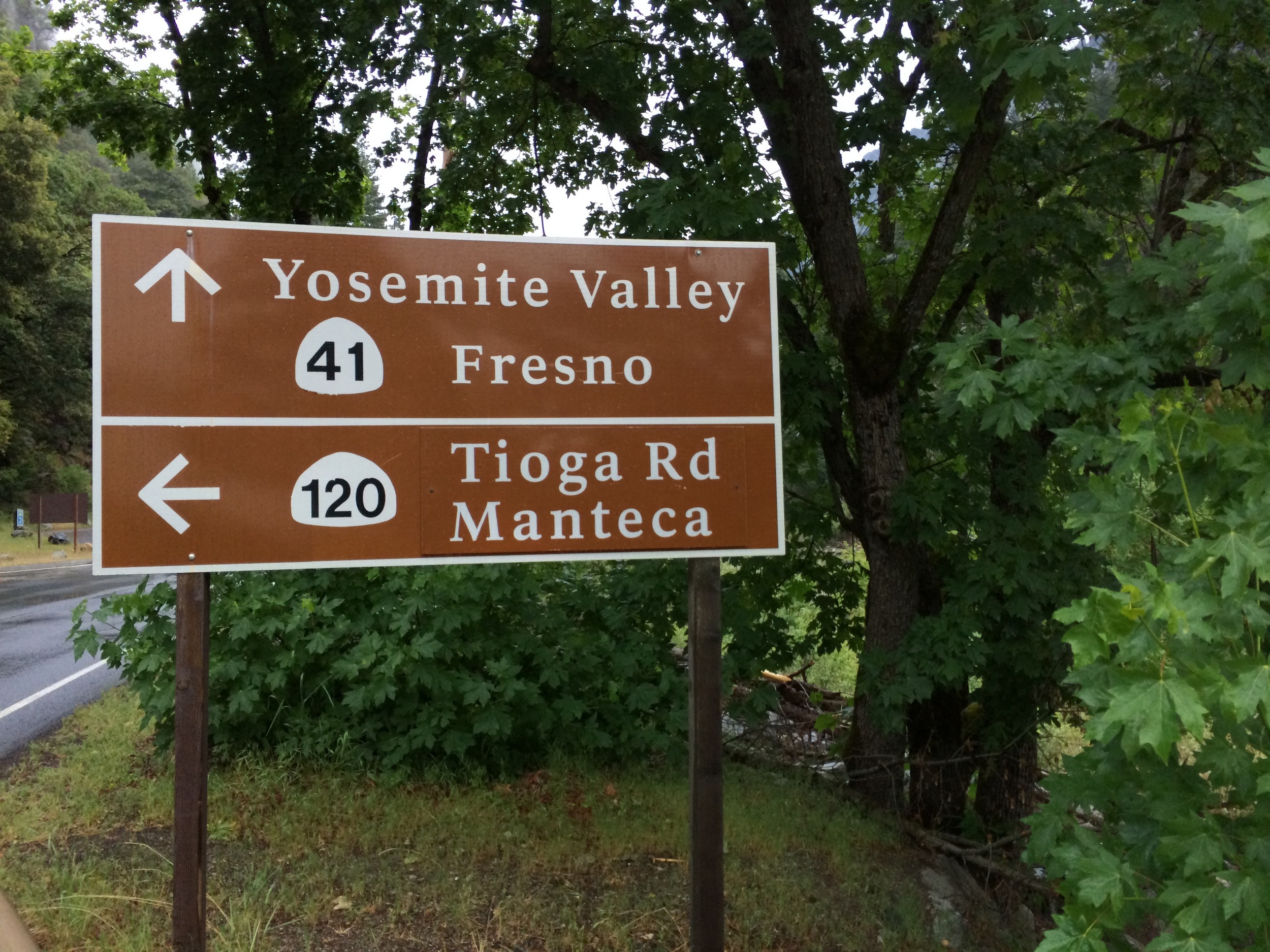 We had just come from the Tioga Road area which was closed due to snow and ice.
