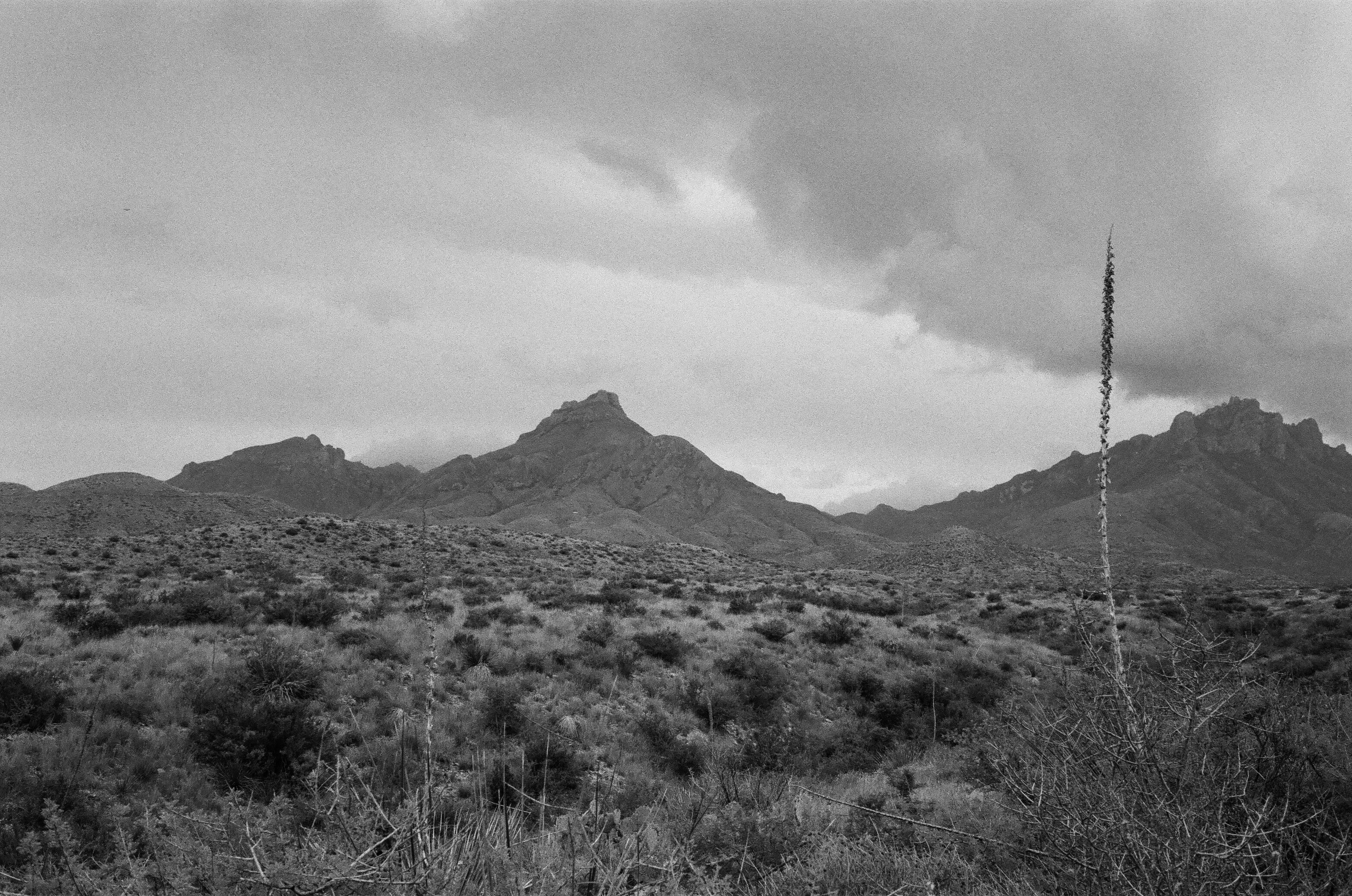Big Bend National Park in April