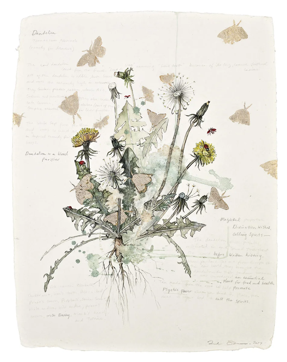 Dandelion