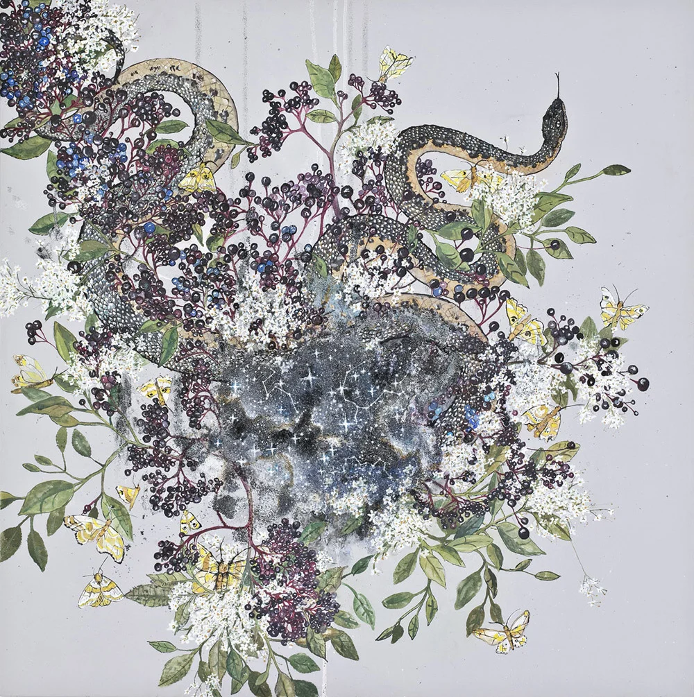 Elderberry