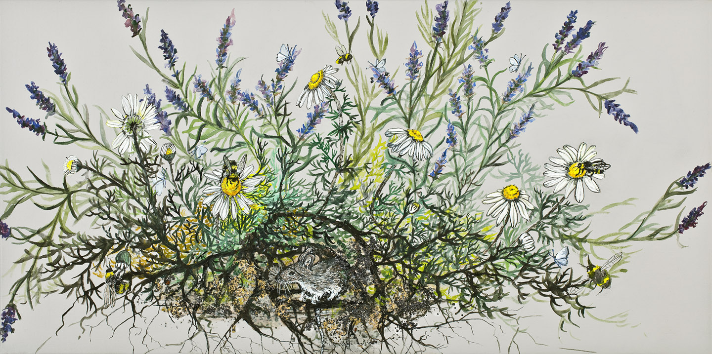 Home. Chamomile and Lavender.