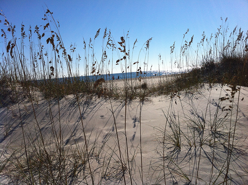 Holden Beach Dunes