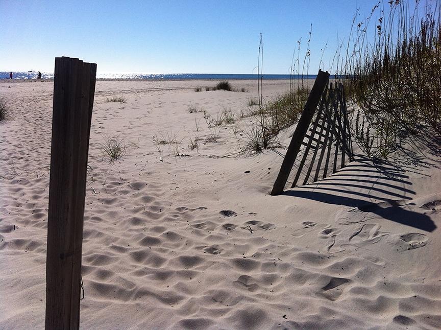 Holden Beach Dunes