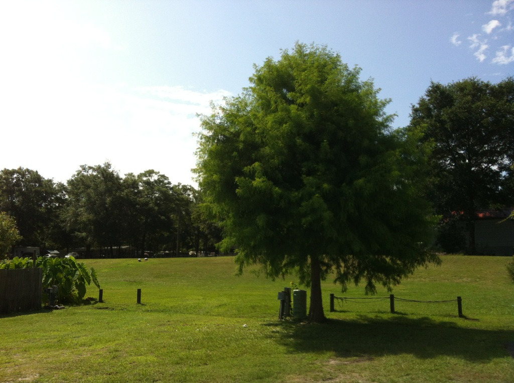 Tenting, Playground and Rec Area