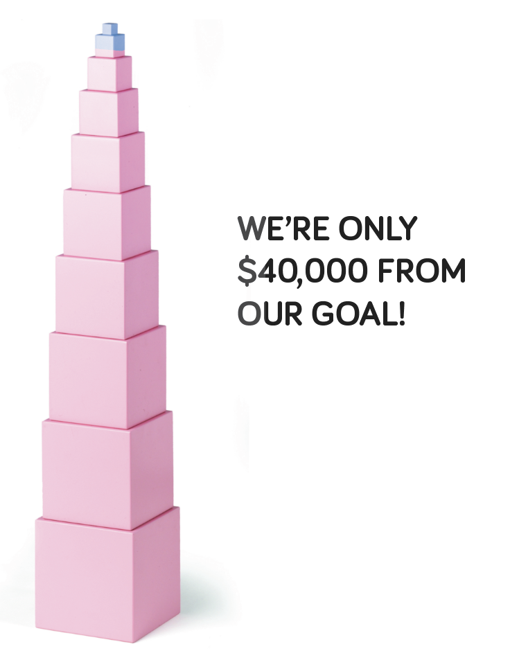 40000 from our goal.png