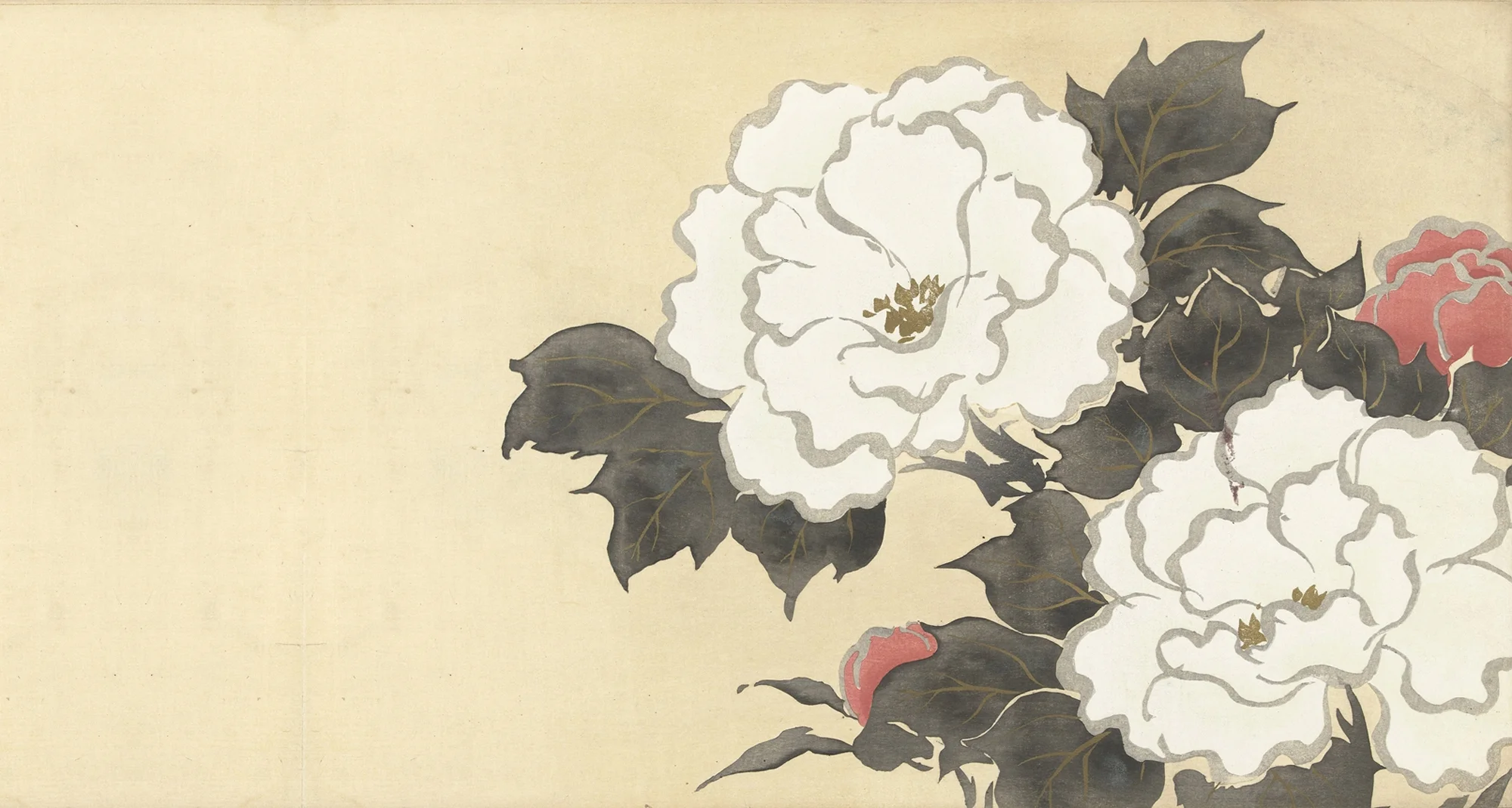 WhiteCarnations (2).JPG